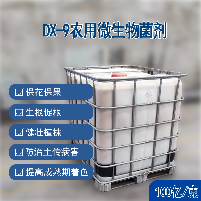 DX-9微生物菌剂（100亿/克）