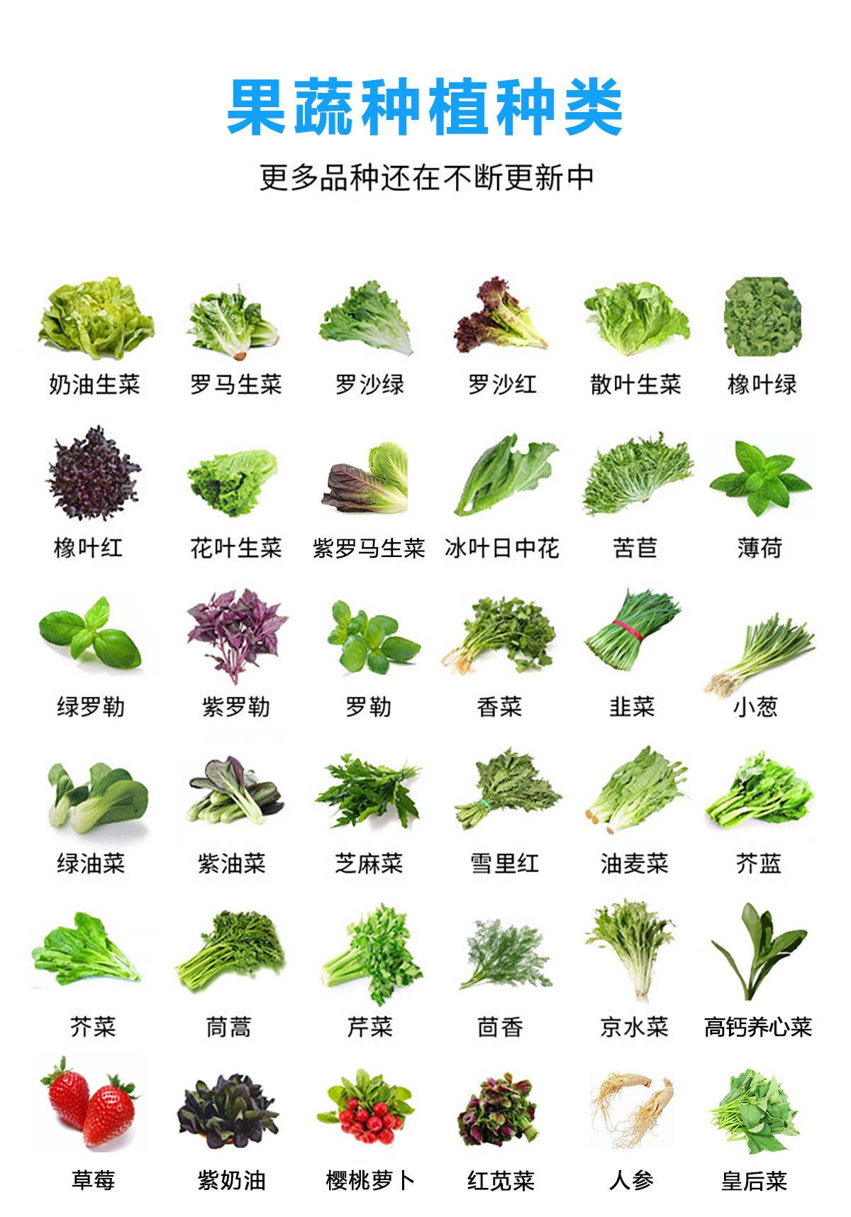 果蔬种植种类1.jpg