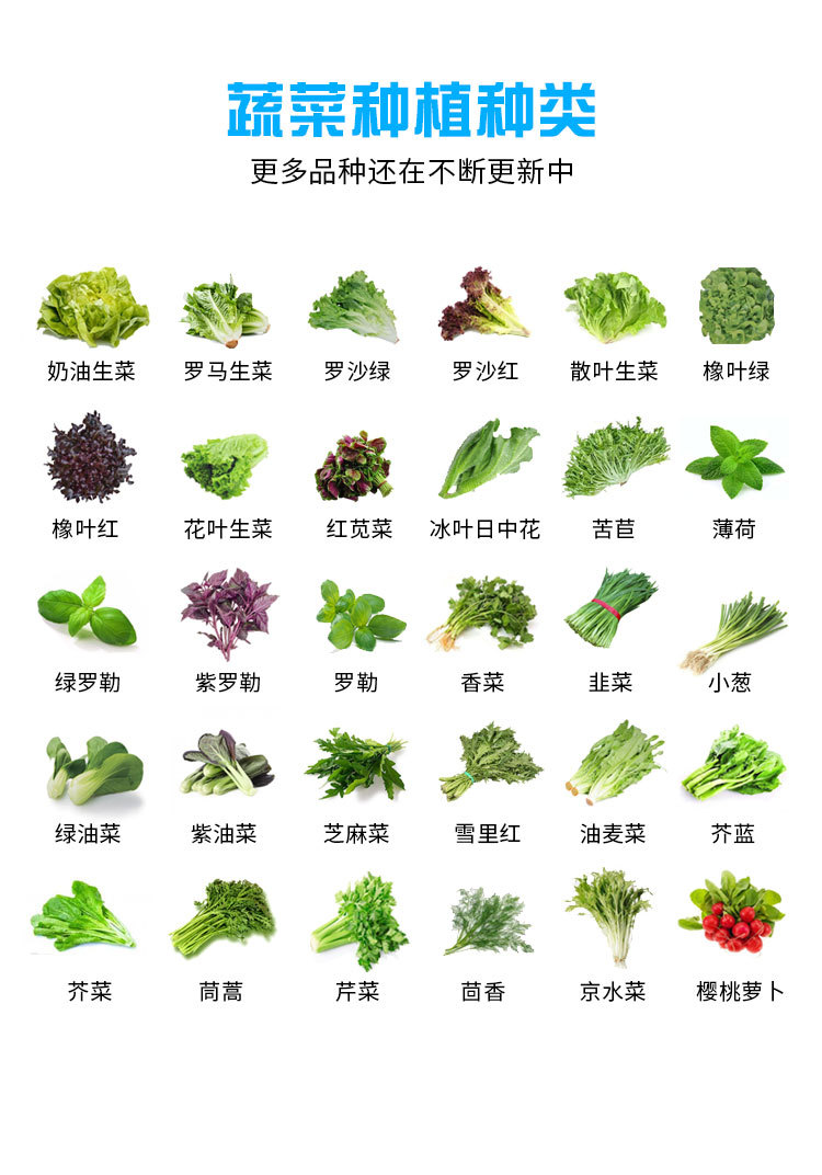蔬菜种植种类.jpg