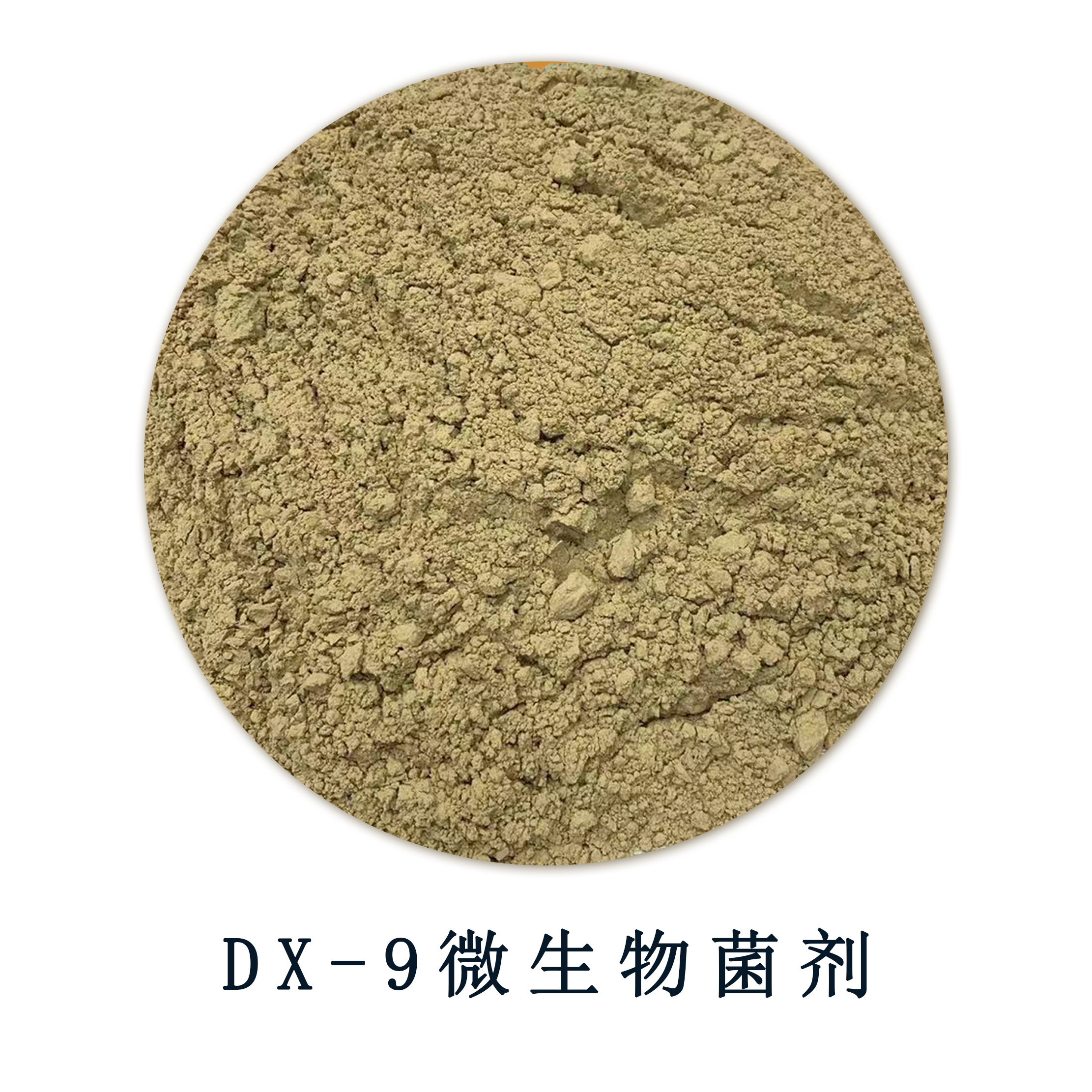 DX-9微生物菌剂.jpg