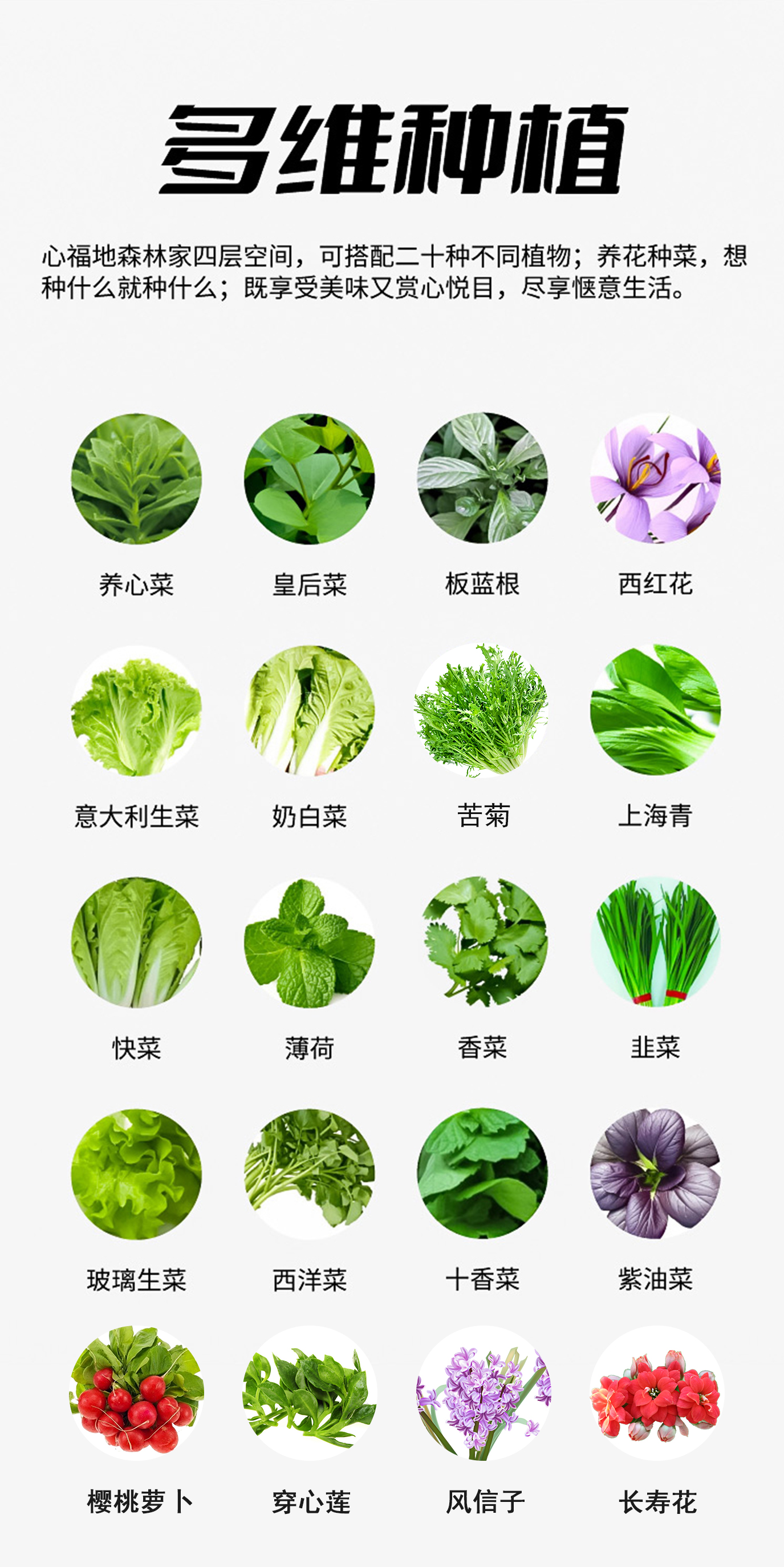 多维种植-修改使用.jpg