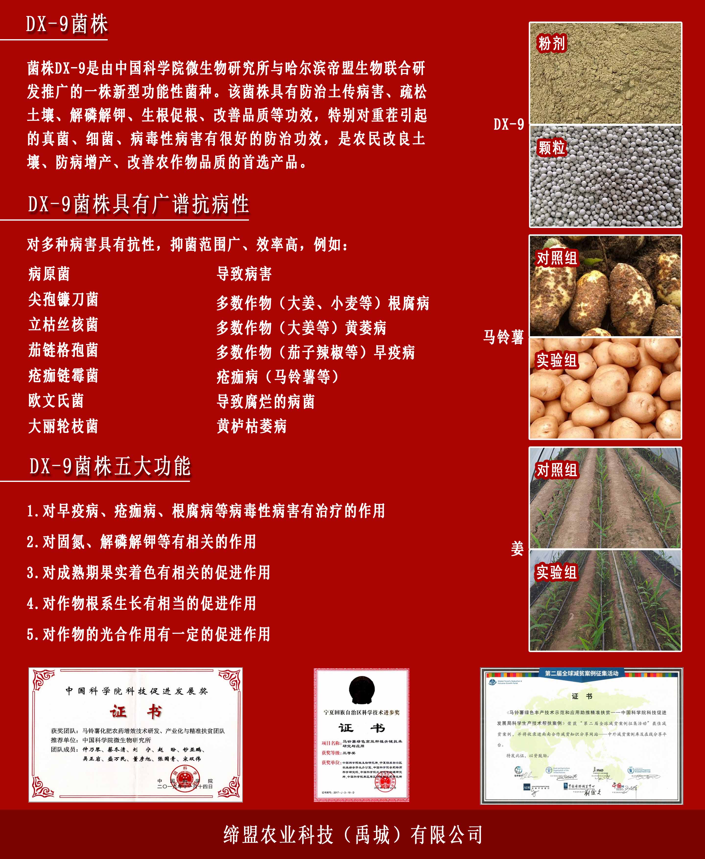 DX-9-反面-网站使用.jpg